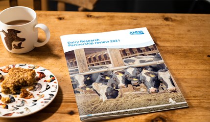 Dairy Research Partnership review brochure on a table next to a cup of tea and piece of cake